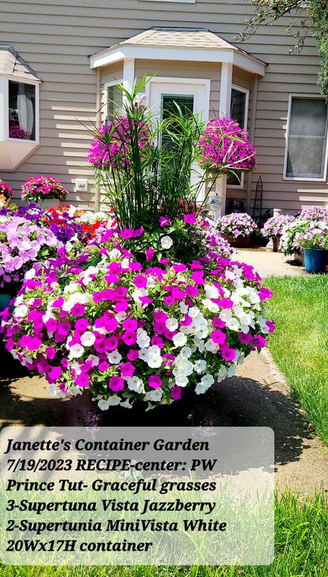 center: 1-PW Prince Tut Graceful Grasses, 3-PW Supertunia Vista Jazzberry, 2-PWSupertunia Mini Vista White in 20Wx17H pot, E+S Sun, Fertilized wkly w/Jack's Blossom Booster 10-30-20, 7/10/2023. Supertunia Vista Jazzberry, Hanging Baskets, Garden Party, Container Gardening, Blossom, Cottage, Flowers