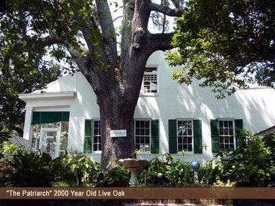 Mary Mahoney's Gumbo Old French House, State Of Mississippi, Biloxi Mississippi, Deep South Dish, Mississippi Gulf Coast, Seafood Gumbo, Salt Water Fish, Ocean Springs, Gumbo Recipe