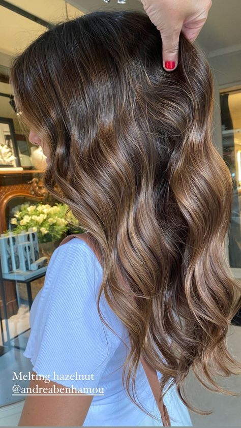 Melting Hazelnut Hair, Honey Brown Balayage Brunettes, California Brunette, Golden Highlights Brown Hair, Baylage Hair, Brown Hair Inspo, Warm Scarves, Brunette Hair With Highlights, Hairstyles For Layered Hair