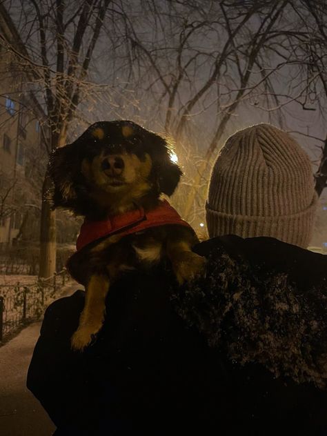 Late Winter Aesthetic, Dog Person Aesthetic, Dog Lover Aesthetic, Snowing Aesthetic, January Moodboard, Dog In Snow, 2024 Manifestation, Vision Bored, Aesthetic Dog