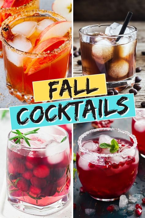 These fall cocktails are the perfect way to toast the season! From apple mimosas to pumpkin martini, these drinks are as tasty as it gets. Fall Drinks Alcohol Recipes, Fall Drinks Alcohol, Pumpkin Martini, Fall Drink Recipes, Craft Cocktail Recipe, Fall Cocktails Recipes, Pumpkin Butter, Fall Cocktails, Fall Drinks