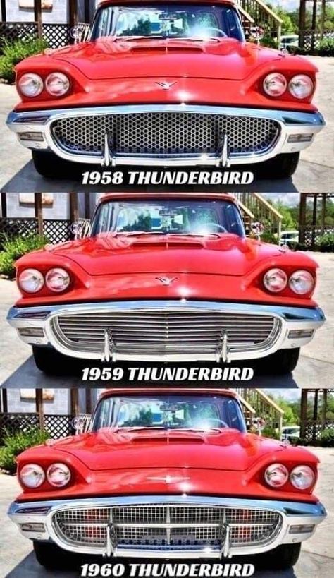 Thunderbird Car, Ford Mustang Logo, Old American Cars, Automobile Advertising, Old Vintage Cars, Classic Cars Trucks Hot Rods, American Classic Cars, Peterbilt Trucks, Ford Classic Cars