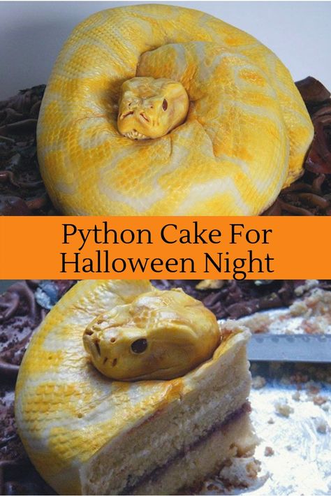 Python Snake cake: This reptile here is waiting to feed your guests on its body. But who’s going to get the head? Rubber Duck Cake, Dumbo Cake, Haunted House Cake, Mint Chocolate Cheesecake, Snake Cakes, Lumberjack Cake, Halloween Wedding Cakes, Cowgirl Cakes, Bubble Cake