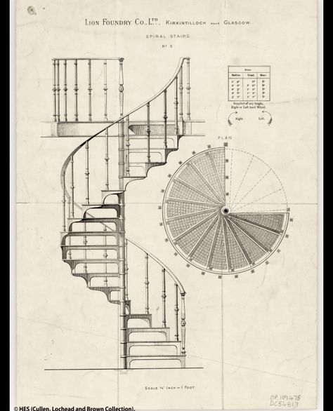 Architecture Student Aesthetic, Staircase Tattoo, 3d Stairs, Staircase Drawing, How To Draw Stairs, Biomimicry Architecture, Staircase Architecture, Spiral Stairs Design, Art Inspired Tattoos