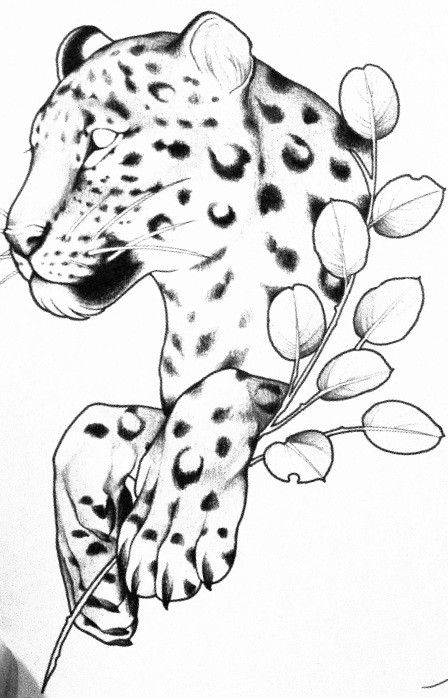 Groot Tattoo, Baby Tattoo Designs, Leopard Tattoos, Tiger Tattoo Design, Tiger Drawing, Small Tattoos Simple, Tattoo Design Book, Baby Tattoos, Tiger Tattoo