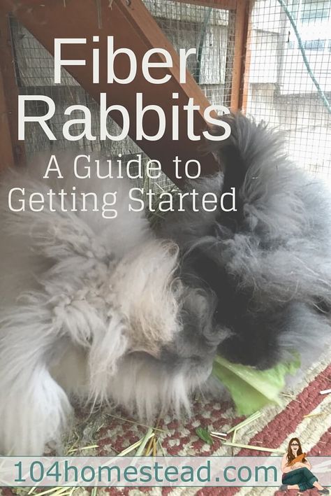 Raising Rabbits For Meat, Homesteading Animals, Rabbit Farm, Meat Rabbits, Raising Rabbits, Backyard Farm, Future Farms, Rabbit Care, Mini Farm