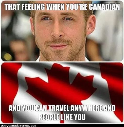 Canada Jokes, Canadian Stereotypes, Canadian Memes, Canada Memes, Canadian Humor, Meanwhile In Canada, Canadian Things, I Am Canadian, Canadian Armed Forces