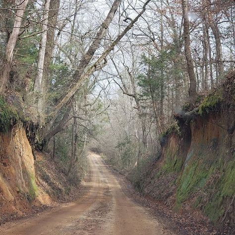 Texas Forest, Texas Adventure, Forest Trail, Texas History, East Texas, Texas Travel, Dream Garden, The Stage, Wild West