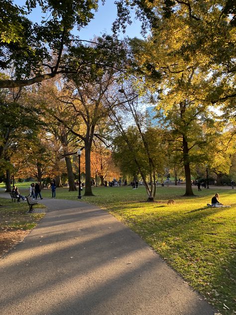 Boston Common Aesthetic, Boston Autumn Aesthetic, Life In Boston, Boston Astetic, 20 Year Old Aesthetic, Boston Fall Aesthetic, Boston In November, Boston Suburbs, Boston Vibes