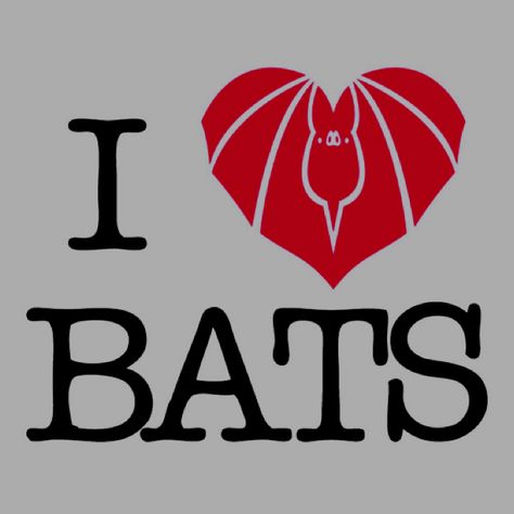 It's true I do love bats Bat House, Bat Art, Fruit Bat, Baby Bats, Cute Bat, Creatures Of The Night, Robins, Grand Rapids, Beautiful Creatures