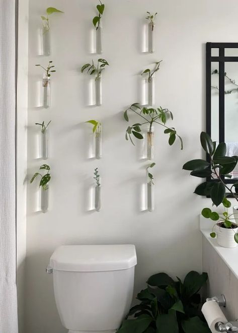 Plants In Test Tubes On Wall, Plant Test Tube, Plants In Tubes On Wall, Glass Propagation Wall, Test Tube Diy Craft Ideas, Test Tube Propagation Wall, Propagating Station Diy, Plant Propagation Wall Decor, Test Tube Wall Decor