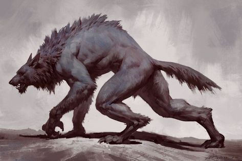 Werewolf Sketch, Taran Fiddler, Werewolf Aesthetic, Werewolf Art, Mythical Creatures Art, Monster Design, Creature Concept Art, Wolf Art, Creature Concept