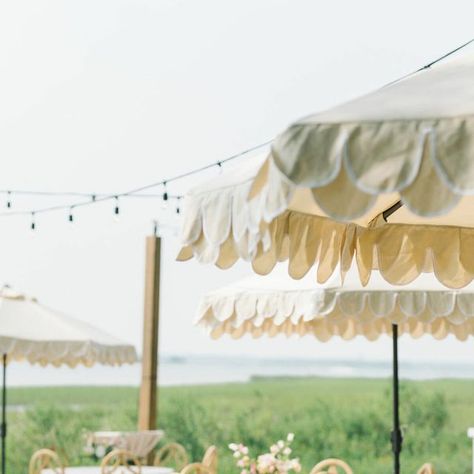 Pure Luxe Bride on Instagram: "Temperatures are rising in Charleston, and our favorite way to beat the heat is to add these cute scalloped umbrellas to offer shade during cocktail hour! 📷 @aaronandjillian⁣ ⁣ ⁣ #pureluxebride #luxies #lowndesgrovewedding #lowndesgrove #southernwedding #summerwedding #summer #charlestonsc #lowcountrywedding #southernbride #charlestonbride #charlestonweddingplanner #destinationweddingplanner #luxuryweddingplanner" Garden Wedding Umbrellas, Fringe Umbrella Wedding, Scalloped Umbrella Wedding, White Umbrella Cocktail Hour, Summer Wedding Parasol, Lowndes Grove Wedding, Charleston Bride, Lowcountry Wedding, Southern Bride