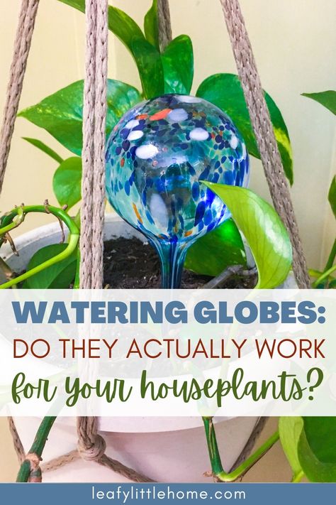 image of a watering globe in a pothos plant and the text "watering globes: do they actually work for your houseplants?" Plant Watering Hacks, Plant Homes, Houseplant Tips, Watering Bulbs, Globe Diy, Globe Crafts, Plant Tips, Houseplant Care, Water House