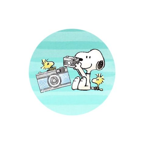 Camera, Instagram, highlight cover Snoopy With Camera, Snoopy Instagram Highlights, Snoopy Highlight Cover, Snoopy Camera, Ig Highlight, Instagram Highlight Cover, Snoopy Quotes, Highlight Cover, Highlight Covers