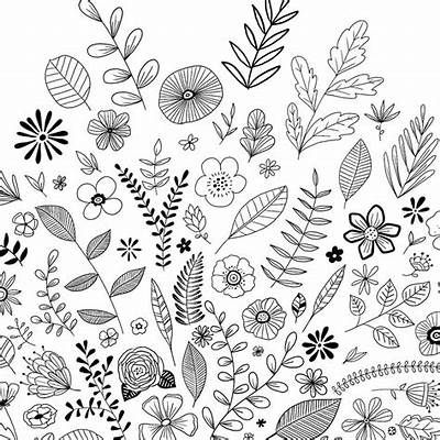 Black White Flowers, Botanical Line Drawing, Doodle Art Flowers, Floral Doodle, Doodle Design, Doodle Art Journals, Doodle Inspiration, White Drawing, Flowers Black