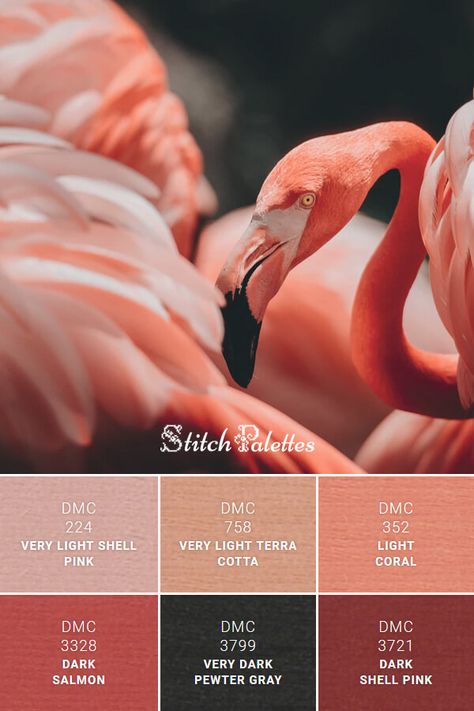 Floss color inspiration for cross stitch and embroidery projects. Thread colors used: DMC 224: Very Light Shell Pink / DMC 758: Very Light Terra Cotta / DMC 352: Light Coral / DMC 3328: Dark Salmon / DMC 3799: Very Dark Pewter Gray / DMC 3721: Dark Shell Pink. Palette ID: SPA0006 Stitch Palettes, Flamingo Color, Dark Pewter, Color Schemes Colour Palettes, Warm Palette, Pink Palette, Cranberry Color, Shell Pink, Light Coral