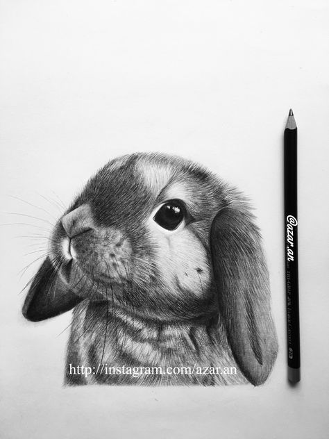 Bunny pencil drawing Bunny Drawing Realistic, Draw Bunny, Drawing Ideas Pencil, Rabbit Drawing, Aesthetic Notes, Bunny Drawing, Print Ideas, Pencil Sketch, Pencil Art