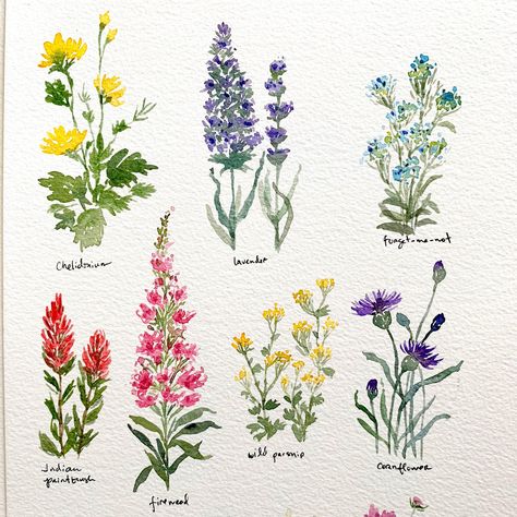 Pretty Little Wildflowers | Skillshare Projects How To Paint Wildflowers, Wildflower Drawing Tattoo, Pretty Drawings Of Flowers, Flowers Drawing Acrylic, Wildflower Painting Easy, Drawing Wildflowers, Wildflower Drawings, Acrylic Paint Flowers, Wildflowers Drawing