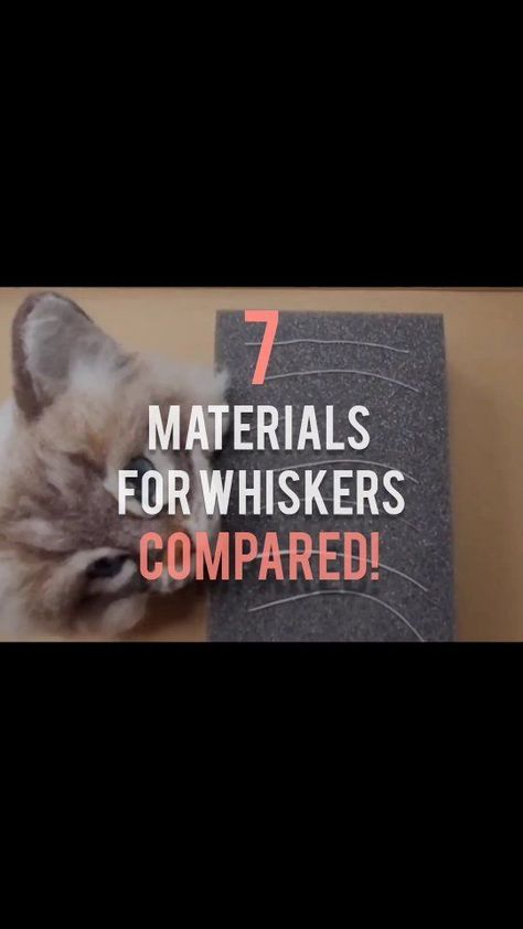 Wondering what to use as whiskers for needle felted animals? I compare 7 materials so you can decide on the best one for you! I demonstrate how to attach them on my Tabby Birman cat head 🐱.  I explain the pros and cons of the options and share my top 3 favourites.  Watch the full video today 😊 see link in bio. . #needlefeltcat #whiskers #needlefeltingforbeginners #needlefelt #needlefelting #needlefeltersofinstagram #howtoneedlefelt #needlefeltedanimals #needlefeltingtutorial | Fit to be loved | Adam Madenski · Sunset Vibes Needle Felting Tutorial, Birman Cat, Needle Felted Cat, Sunset Vibes, My Top 3, Felted Animals, What To Use, Felt Cat, Needle Felt