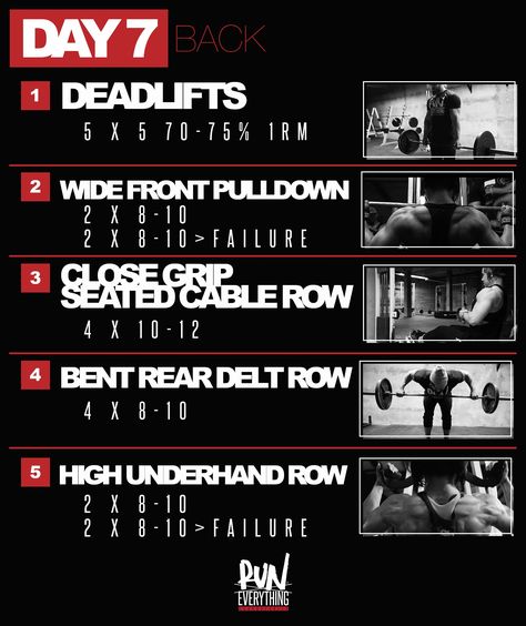 Dana Bailey, Dana Lynn, Weight Training Plan, Dana Linn Bailey, Lifting Workouts, Meals Healthy, Workout Days, Vegetarian Meals, Back Exercises