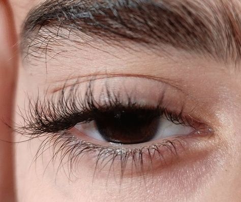 Brown Eyes Aesthetic, Pretty Brown Eyes, Thick Brows, Perfect Eyelashes, Beautiful Brown Eyes, Long Eyelashes, Thick Eyebrows, Dark Brown Eyes, Aesthetic Eyes