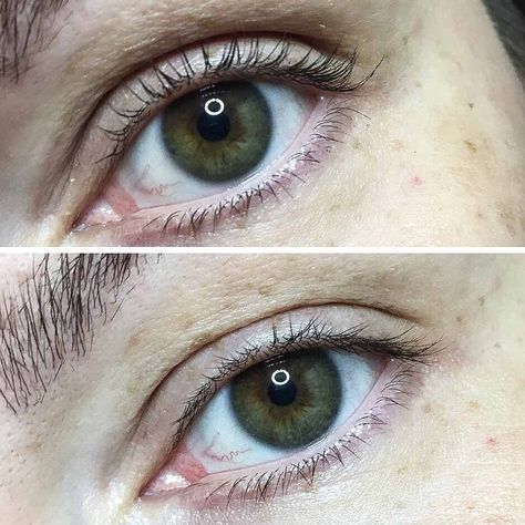 Will a Lash Lift Work on Short Lashes? Get Good Results Lash Lift Short Lashes, Short Eyelashes, Short Lashes, Lash Growth, Eyelash Lift, Natural Eyelashes, Lash Lift, Eyelashes, Lashes