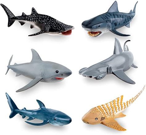 Amazon.com: Toymany 6PCS 5-8" L Realistic Shark Bath Toy Figurines, Plastic Ocean Sea Animals Figures Set Includes Whale Shark,Tiger Shark,Mako Shark, Cake Toppers Christmas Birthday Gift for Kids Toddlers : Toys & Games Shark Themed Bedroom, Shark Stuffed Animal, Plastic Ocean, Nerdy Christmas, Pet Shark, Shark Themed Party, Shark Decor, Shark Toy, Sharks For Kids