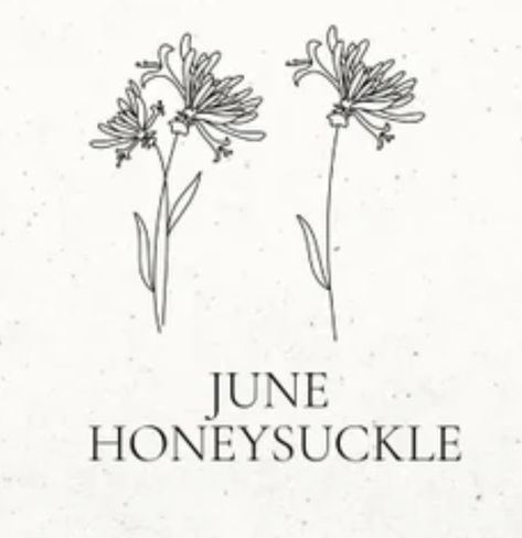 Sweet Pea And Honeysuckle Tattoo, June Honeysuckle Tattoo, Fine Line Honeysuckle Tattoo, Honey Suckle Tattoo Simple, Honeysuckle Tattoo Simple, Honeysuckle Tattoo, Names Tattoo, Honey Suckle, Boys Names