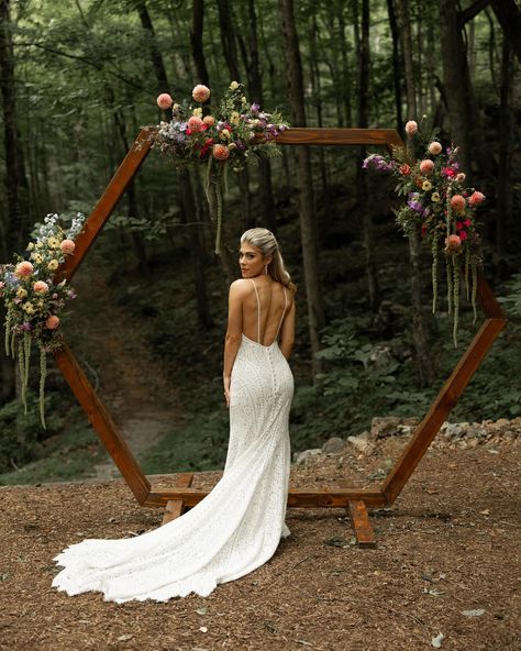 The dress on the hanger vs. on the bride 🤩👰🏼‍♀️🤍 #tennesseewedding #chattanoogawedding #chattanoogabrides #chattanoogaweddingplanning #chattanoogaevents #chattanoogalove #tennesseeweddings #chattanoogabridetobe #sceniccityweddings #chattanoogavenues #chattanoogaweddingvendors Venue: @oakleaf_cottage Lead Photographer: @aus10mar10 Film Photographer: @carly.hildebrant Videographer: @wildsidecreativeco Caterer: @cparkscateringandevents DJ: @thedjscubasteve Florist: @thicketcreative Lin... Chattanooga Wedding, Classic Color Palette, The Hanger, Tennessee Wedding, Film Photographer, Film Photographers, Wedding Event Planning, Wedding Vendors, Elegant Wedding