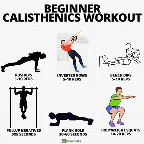 203 Likes, 3 Comments - Fitness Center (@fitness_cntr) on Instagram: “👉 Beginner bodyweight workout🔥 By @dancudes . . I've been asked to post a beginner bodyweight…” Learn Calisthenics, Beginner Calisthenics, Calisthenics Workout For Beginners, Calisthenics Workout Plan, Home Gym Ideas, Calisthenics Training, Fitness Memes, Workout Splits, Gym Ideas