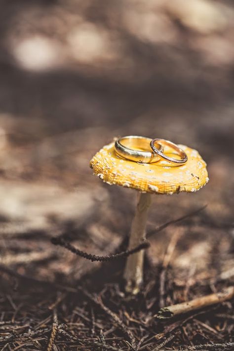 Mushroom Wedding Ideas, Mushroom Wedding Ring, Mushroom Ceremony, Wedding Mushroom, Mushroom Rings, Mushroom Wedding, Diy Bohemian, Wedding Ring Shots, Charming Wedding