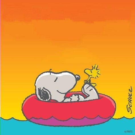 Pin by Diana Banashefski on Snoopy | Snoopy wallpaper, Snoopy pictures, Snoopy and woodstock Wallpaper Snoopy, Snoopy Wallpaper, Snoopy Pictures, Snoopy Love, Wallpapers Backgrounds, Snoopy And Woodstock, Animal Wallpaper, Woodstock, My Profile