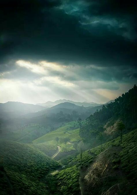 Munnar Hills, #Kerala Kerala Background, Messi Wallpapers, Amazing India, Lionel Messi Wallpapers, Paper Background Design, Munnar, Flyer And Poster Design, Beautiful Sites, Hill Station