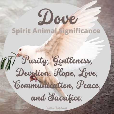 Charm Meanings, Dove Symbolism, Spiritual Animals, Bear Spirit Animal, Animal Totem Spirit Guides, Energy Symbols, Spirit Animal Meaning, Animal Communication, Animal Meanings