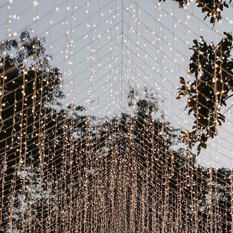 The Wedding Bliss Thailand on Instagram: "A midweek throwback to this romantic wedding reception under a dazzling curved canopy of twinkling lights ✨  The stunning light canopy was the centerpiece of the evening, with its dramatic draping and rows of lights perfectly framing the entire dinner setting. The curves of the lights created a truly memorable atmosphere - as if the stars came showering down on the couple and the guests magically, just for one night ✨Elegantly dressed dinner tables were decorated with simple candles and delicate floral arrangements - contrasting with the magnitude of the lighting above 🤍  Planning & design: @theweddingblissthailand Florals: @iamflower.co Photography: @sixtysix Venue: @fsciangmai Rentals: @somethinggottabliss MUAH: @first_make_up Stationery: @paper Enchanted Greenhouse, Wedding Dinner Decor, The Wedding Bliss, Fairy Lights Wedding, Dinner Setting, Romantic Wedding Receptions, Greenhouse Garden, Light Canopy, Easy Candles