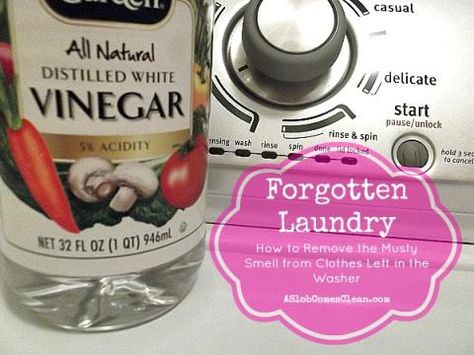 Forgotten Laundry - How to Remove the Musty Smell from Clothes left too long in the washing machine Slob Comes Clean, Remove Carpet, A Slob Comes Clean, Happy Homemaking, Clean Baking Pans, House Organization, House Hacks, Laundry Tips, Homemade Cleaning