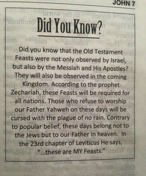 Feasts Of The Lord, Messianic Judaism, Bible Study Help, Hebrew Israelite, Our Father In Heaven, Bible History, Bible Study Notebook, Study Bible, Biblical Studies