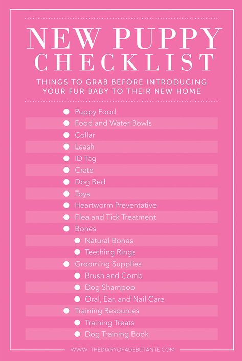 House training a puppy can be tough. From crate training to pet care, sometimes it's hard to know where to start. Click through to read the full post about the Clear The Shelters Day initiative, which is sponsored by Hills Pet Nutrition, and for more tips and ideas for bringing home a new puppy by southern lifestyle blogger Stephanie Ziajka from Diary of a Debutante, including a printable New Puppy Checklist and Puppy Proofing Home Checklist! #hillspartner #cleartheshelters #puppies #petadoption Baby Pomeranian, Home Checklist, New Puppy Checklist, Puppy Checklist, House Training Puppies, Dog Minding, Puppies Tips, Puppy Proofing, Easiest Dogs To Train