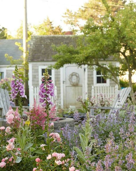 Oh, for a cottage garden. Country Gardens, Cottage Garden Design, Backyard Sheds, English Cottage Garden, She Sheds, Country Gardening, English Garden, Garden Shed, Early Spring