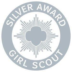 Girl Scout Silver Award Cadette Girl Scout Badges, Girl Scout Silver Award, Girl Scout Logo, Cadette Badges, Girl Scouts Cadettes, Girl Scout Badges, Create A Comic, Award Ideas, Bronze Award