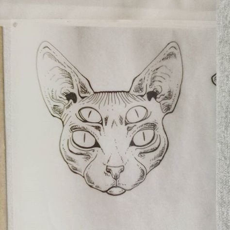 ∆ cat4eyes ∆ Eyes Draw, Draw Tattoo, Cat Eyes, Sphynx, Cat Tattoo, Instagram Post, On Instagram, Instagram, Art