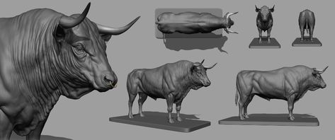 ArtStation - Bull Study | Personal Project Bull Anatomy, Blender Sculpt, Bull Statue, Animal Anatomy, Reference Drawing, Anatomy Drawing, Personal Project, Zbrush, Art Work