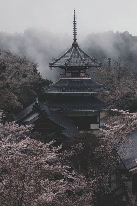 Spin The Dawn Aesthetic, Chinese Aesthetic, Japanese Castle, Japan Aesthetic, Samurai Art, Aesthetic Japan, Orange Tree, China Travel, Historical Architecture