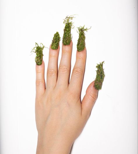 Crative moss nails Moss Nails, Nails