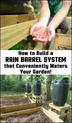 Unless you live in a very wet climate, it’s always good to be able to collect rain water for your garden. Here's a great project you might be interested in doing... Rain Barrel System, Rain Barrels, Homestead Gardens, Watering System, Permaculture Gardening, Permaculture Design, Hemma Diy, Garden Wallpaper, Water Collection