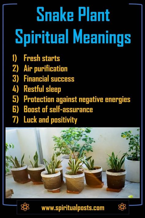 Snake Plant Meaning, Snake Plant Benefits, Plant Meanings, Spiritual Guide, Plant Benefits, Spiritual Protection, Spiritual Guides, Spiritual Meaning, Snake Plant