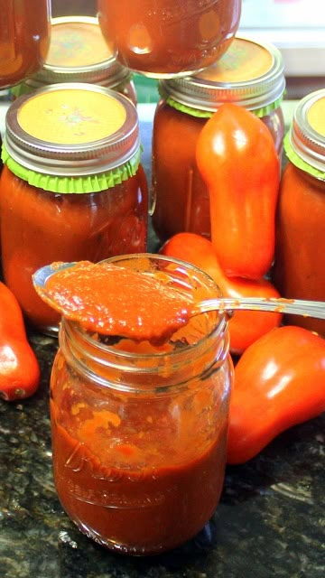 Fresh San Marzano Tomato Sauce, San Marzano Tomatoes Recipes, San Marzano Tomato Sauce Recipes, Italian Salsa, Crock Pot Easy, San Marzano Tomato Sauce, Italian Gravy, Authentic Italian Recipes, Recipes Crock Pot