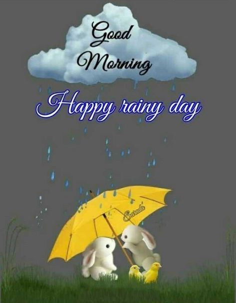 Happy Rainy Day Good Morning, Morning Flowers Quotes, Rain Morning, Happy Rainy Day, Good Morning Rain, Rainy Good Morning, Good Morning Rainy Day, Rainy Day Quotes, Good Morning Posters