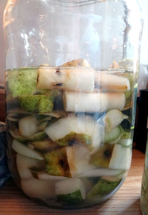 Pixiespocket.com - It is so easy to make pear vinegar using just fruit scraps, water, and a bit of vinegar mother. This technique works for almost any fruit, too. Pear Cider Vinegar, Diy Pear Cider Vinegar, Pear Vinegar Recipes, Pear Ideas, Fruit Scraps, Pear Vinegar, Fermenting Foods, Vinegar Recipes, Pear Preserves